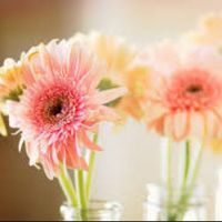 فاطمه مليباري