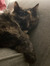 Emily