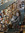 Johanna | 6 comments