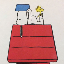 Lily C Harrison