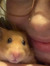 Eloise ...