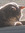 Grace | 3 comments