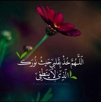 أمةالرحمن شاهيناز