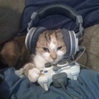 Pat