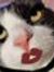 Lilly T...