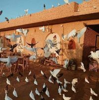 عبير الرحماني