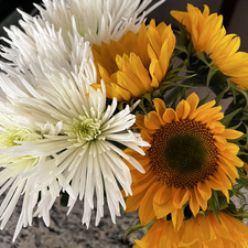 Stephanie ChicagoReads