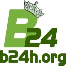 B24h