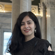 Haniye safarpour