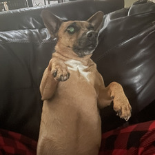Lydia