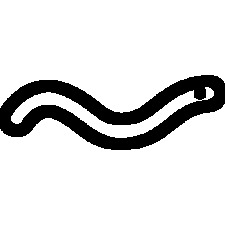 A Worm