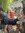 Evie Berg
