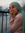 Lina Amjad