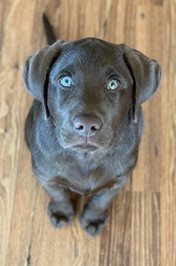 Kris Gordon Oliphant