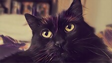 Kali