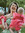 Morgan Garrison | 1 comments