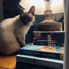 ✨&#x1f5a4;Lida Tuel&#x1f5a4;✨