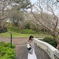 Nxm Rin