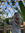 Anna! | 3 comments