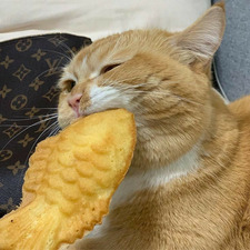 valentina ⁺˚⋆｡°✩₊