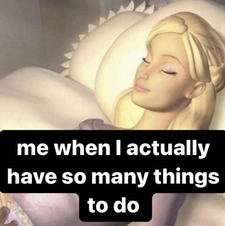 bride for rip van winkle