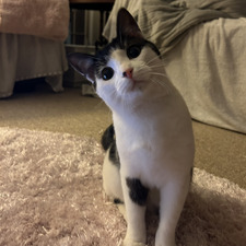 Zoe