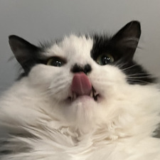 Bryn
