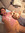 Vanessa