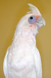 LORIANN (my opinion doesn't mean much, but ...)