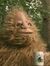 Sasquatch