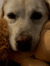 Tills