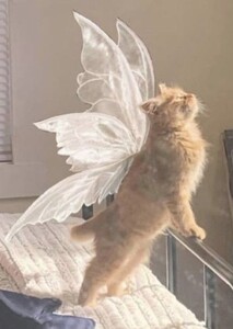 Мария Пенькова