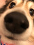 sy