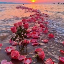 جميلة  حسن  الغول 