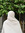 آية يحيى