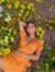 Carolin...