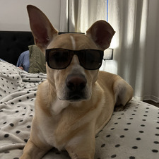 Jérôme Charette-Cyr