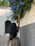 Aleka D...