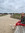 Marguerite Pace