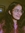 Kashvi Luthra | 1 comments