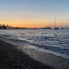 Ghazaleh