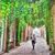 Bart Vandecruys