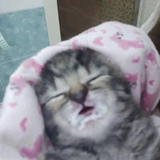 ೃ❀; &#x1d474;&#x1d48a;&#x1d48f;&#x1d482; ˎˊ˗