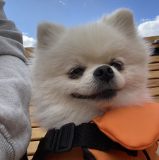 Elsie