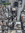 Alice | 8 comments