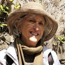 Jan Sanderson