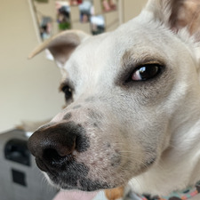 Chloe 🍭🫧🧚🏻♂️