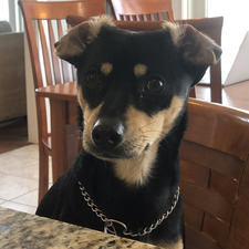 Maggie