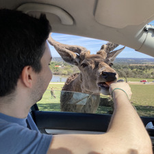 Ignacio Prieto Mauricio