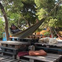 Andrew Gilbert-Fuller